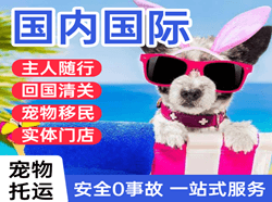 泸州云龙机场邮寄国际宠物托运 【国